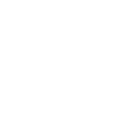program-1